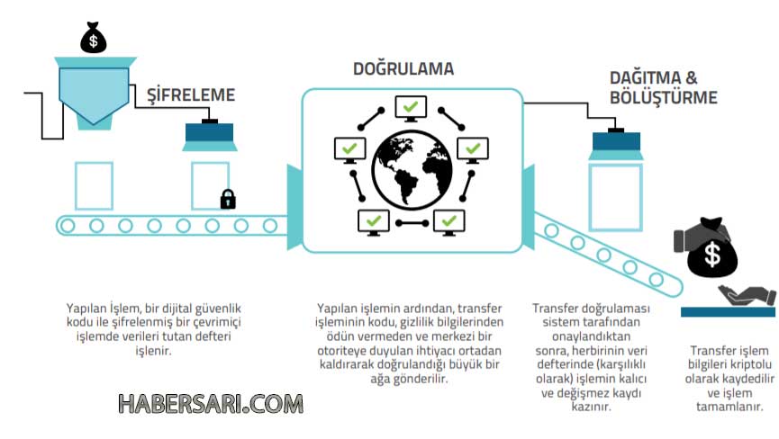 Domatesin Doğalı Makbul Zekanın Yapayı